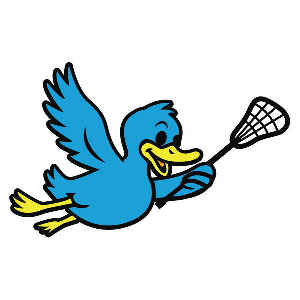 The Blue Ducks
